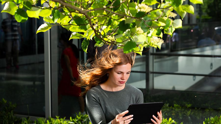 bi-tf-we-take-responsibility